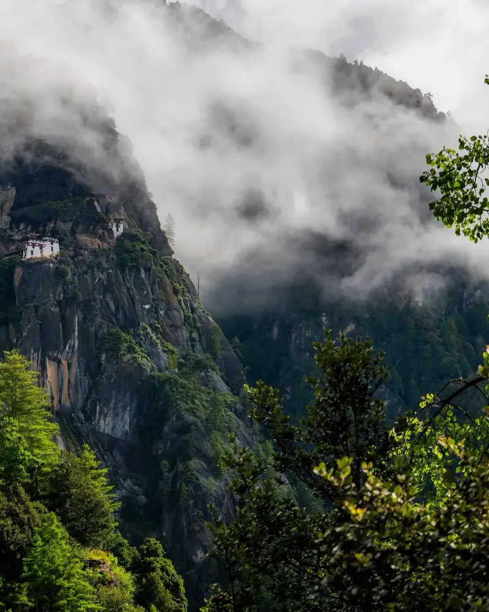 Taktsang monastery on a cliff above pine forest in the Paro valley